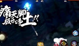 侠客纲手技能爆料大全最新,揭秘神秘忍者之力