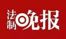 新闻爆料到搜狐网,揭秘重大新闻事件背后的真相