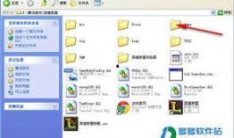 最新蓝皮爆料网站下载安装,下载安装全攻略