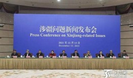 新疆记者爆料新闻最新视频,揭秘神秘事件背后的真相