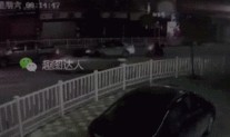 冒死爆料视频完整版,冒死爆料视频完整版深度解析