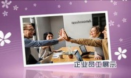 员工爆料视频模板图片素材,视频模板背后的真实故事