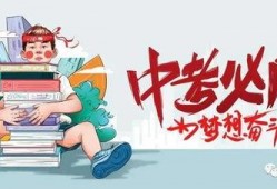 流浪者爆料最新消息,揭秘城市边缘的生存真相