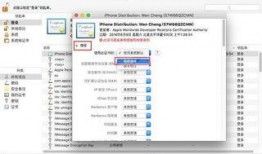 最新密文爆料小程序下载,下载体验与功能解析