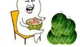 娱乐瓜都是在哪里吃的