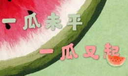 娱乐瓜都是在哪里吃的