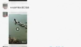 爆料男子溺亡视频播放,男子溺亡视频引发网友热议