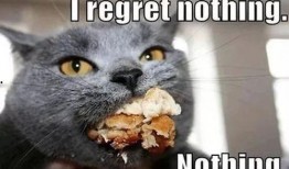 七彩猫吃瓜视频大全免费观看,免费观看视频大全，笑料横生，欢乐无限