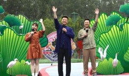 武安最新爆料新闻视频,视频揭露惊人内幕，真相即将揭晓