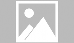 网红明星瓜在哪吃,瓜在哪吃，美味尽享