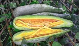 网红吃瓜,揭秘娱乐圈幕后真相