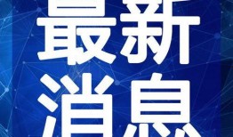 网红玲子爆料视频大全最新,揭秘娱乐圈幕后真相