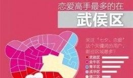 成都爆料最新新闻,揭秘城市热点事件背后的真相