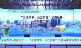 沅江新闻爆料网站大全,一网打尽本地资讯，畅享信息盛宴