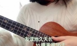 尤克里里圈内爆料郑云龙,郑云龙背后的故事