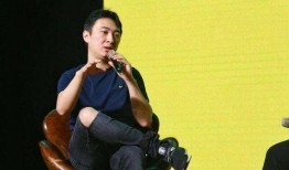 爆料王思聪网红视频下载,下载背后的故事与争议