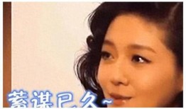 演艺圈爆料事件真相视频,真相背后的惊人内幕