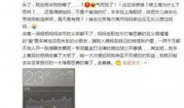 爆料二代燕子视频下载,独家爆料带你一探究竟