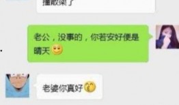 爆料笑话段子大全搞笑视频,笑话段子大全，搞笑视频笑翻天