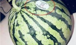 网红吃瓜,揭秘娱乐圈幕后真相