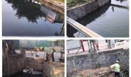 龙湖新溪爆料事件最新消息,最新进展及影响揭秘”