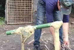 死水爆料视频大全,视频大全背后的真相与内幕