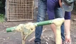 死水爆料视频大全,视频大全背后的真相与内幕