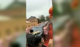 天涯爆料燕子视频,燕子视频揭秘惊人内幕