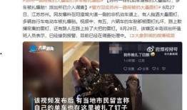 苏州视频爆料公司有哪些,揭秘当地知名视频制作公司榜单