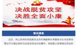 岳阳市最新爆料消息今天,最新事件引发热议，详情即将揭晓！