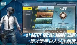 吃鸡最新载具皮肤爆料,吃鸡战场再添炫酷色彩！