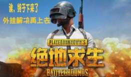 吃鸡周年爆料视频大全最新,周年庆典来袭！吃鸡游戏爆料视频大全精彩回顾