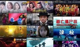 阿诺被爆料pc原视频,揭秘背后真相与争议