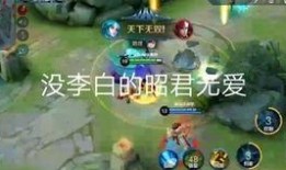 小宝贝王者荣耀爆料视频,小宝贝爆料视频大揭秘