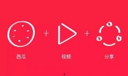 西瓜视频爆料入口,揭秘全新入口，解锁更多精彩内容！