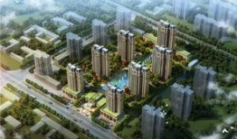 鹿泉问题最新爆料,真相与争议交织