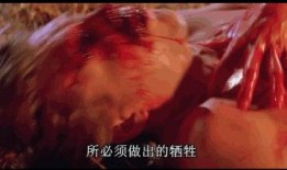 魔法圣婴神马在线观看,在线观看奇幻之旅