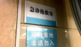 石家庄市小区爆料案件最新