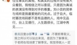 于正写小作文爆料视频,独家爆料视频背后的故事
