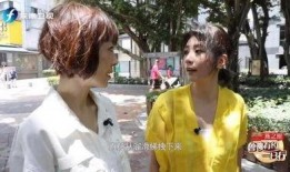 贾静雯 前夫爆料视频,揭秘婚姻内幕与情感纠葛