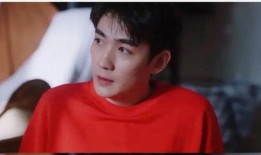 扒叔大爆料王鹤棣视频,扒叔大爆料背后的真相揭秘