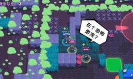 荒野乱斗宝箱最新爆料