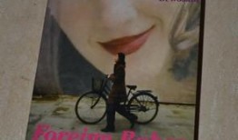 洋妞在北京在线观看,在线畅游京城美景