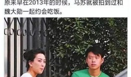 娱乐圈老鸨爆料事件,揭秘明星背后的隐秘生活