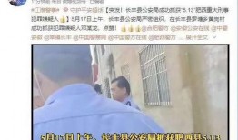 肥西女婿爆料事件真相视频,揭秘背后真相与争议