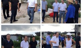 龙湖新溪爆料事件最新消息,最新进展及影响揭秘”