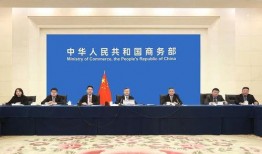 商务部爆料视频大全最新,最新爆料视频大全深度解析