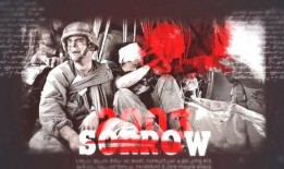 国外须弥爆料事件视频,揭秘神秘视频背后的真相与争议