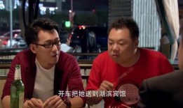 爸的爱情生活在线观看,穿越时光的浪漫之旅