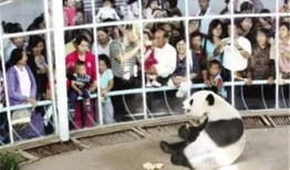 天津动物园爆料视频下载,萌宠瞬间，下载观看